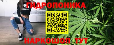 гидропоника Славянск-на-Кубани