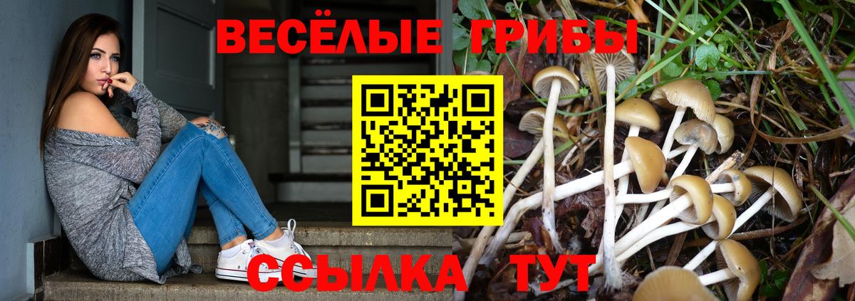 Псилоцибиновые грибы прущие грибы  Вход с VPN  Наро-Фоминск 